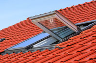 Baldock roof window